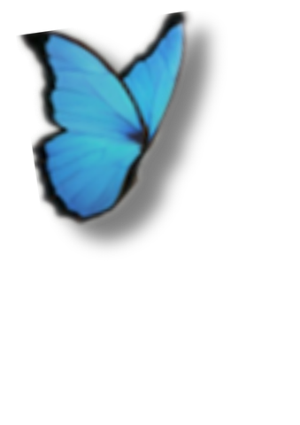 Butterfly Left